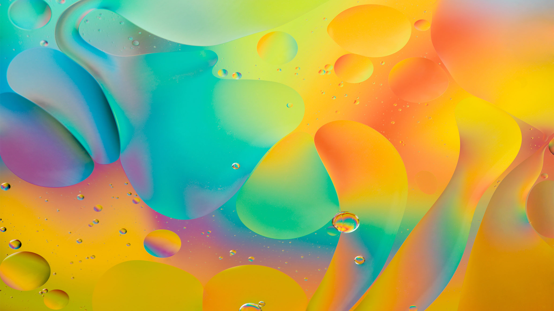 ibtissam bougrine_9J8mH