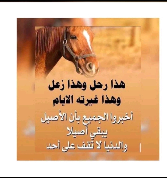 ���� ���� ���� ����_f8yXp