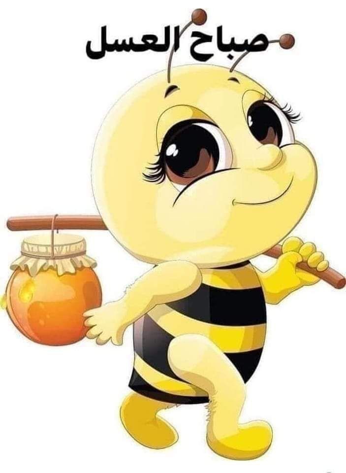 ����� ����_S15St