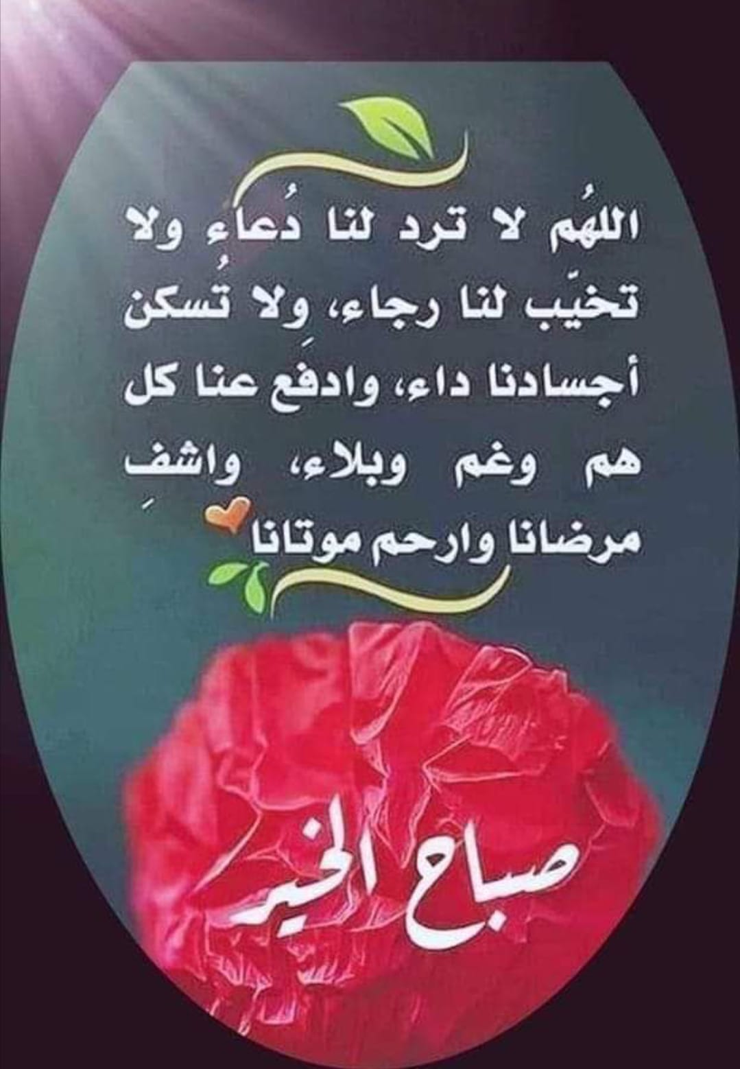 Mohammed Ttawfik_JAqqi