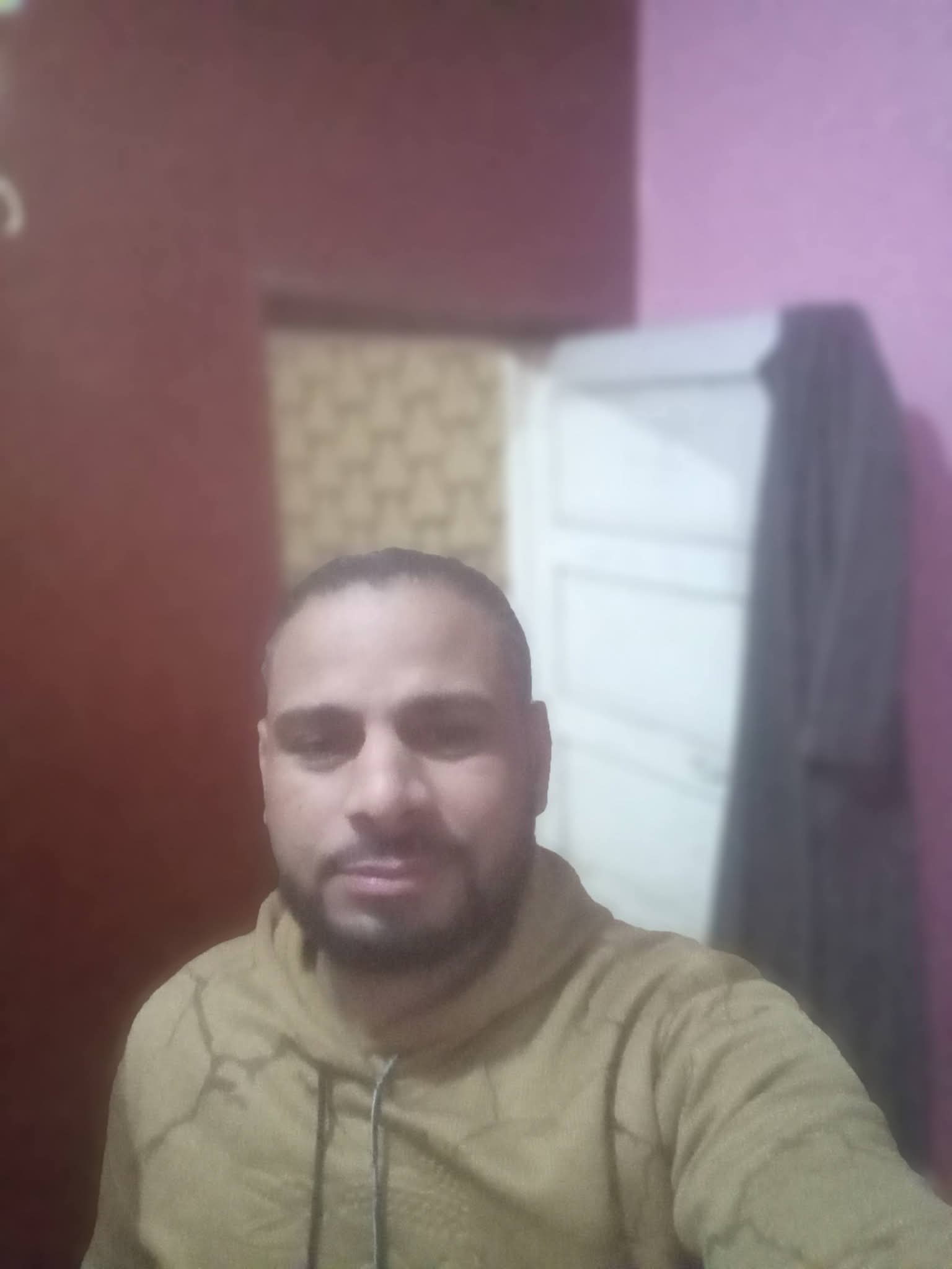 ���� ����_Qciva